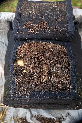 Miniatura 8 de Gardzen Paquete de 6 bolsas de cultivo de verduras sin BPA de 10 galones con solapa de acceso y asas, adecuadas para plantar papas, taro,