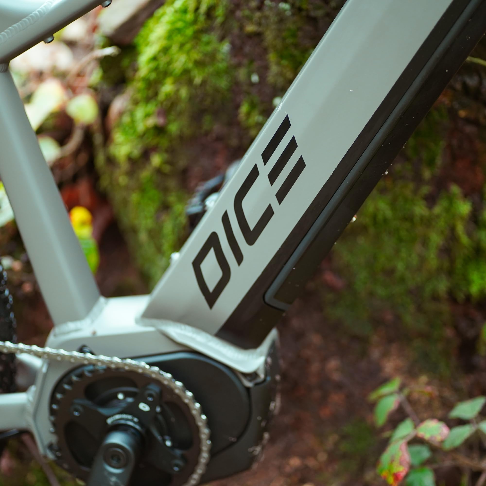Prophete DICE 3.0 E-MTB 29" – AEG 36V Mittelmotor 250W, Shimano 10-Gang Kettenschaltung, 110 km Reichweite, Suntour XCT Federgabel, Hydraulische Scheibenbremsen, MTB Sattel, Grau/Schwarz