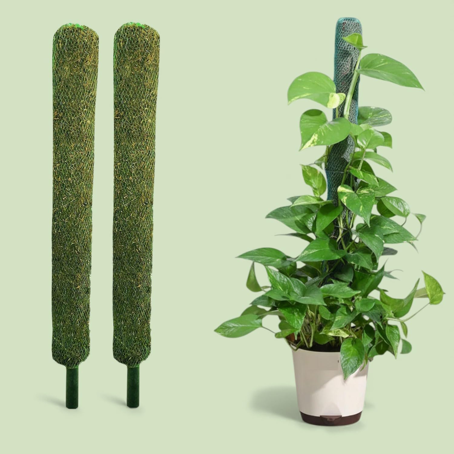 Bhajanlal Greenery Moss Stick/Coco Pole for Climbing Indoor & Outdoor Plants | Green Grass Pole for Housing Plants, Creeper Support | Moss Stick (3FT, 2 Pcs)