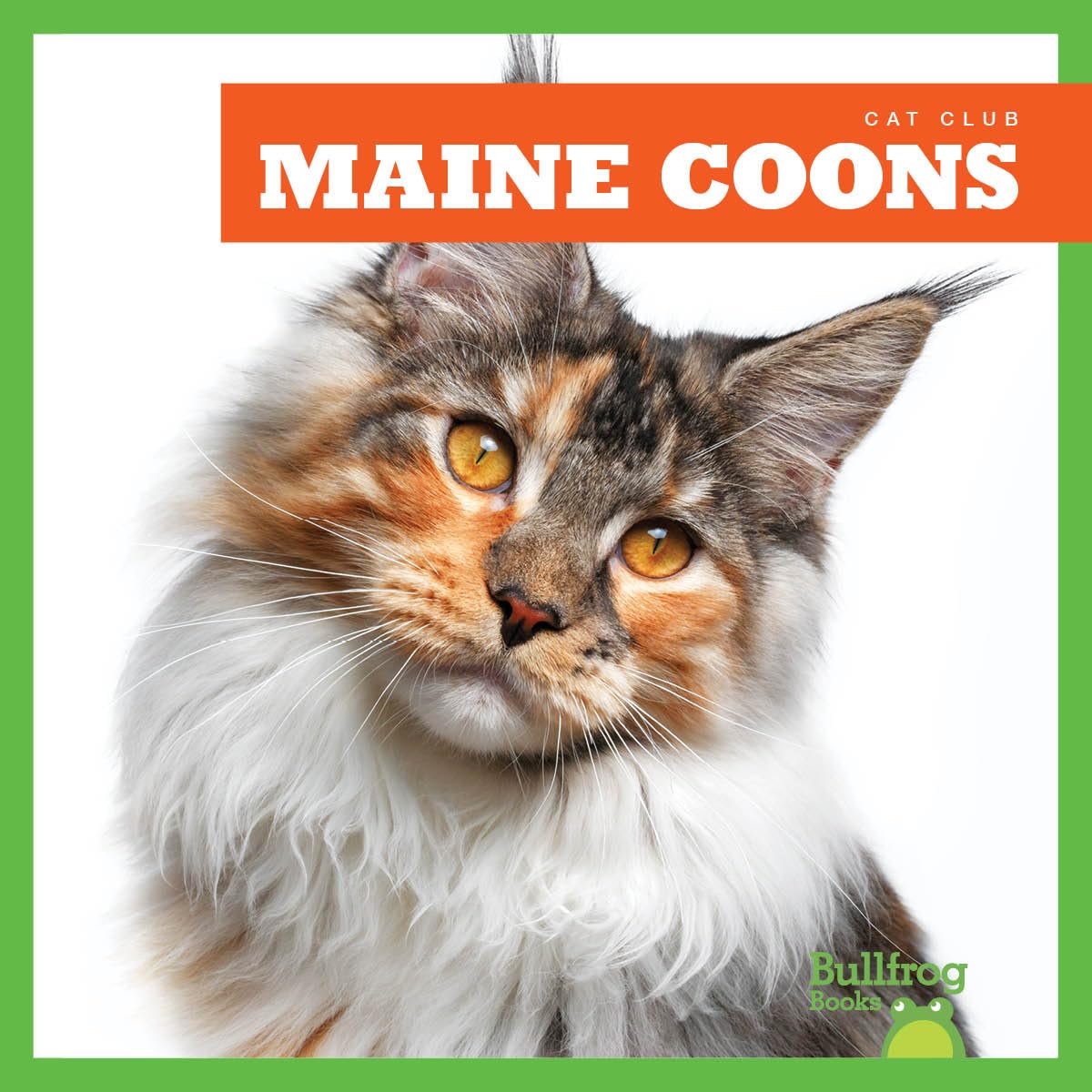 Maine Coons (Cat Club) Library Binding – Import, 1 August 2020