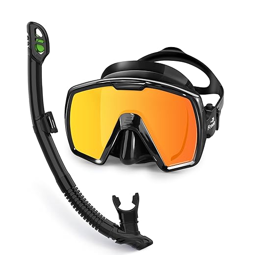 Adult Dry Snorkel Set with Mirrored Lens - $19.99