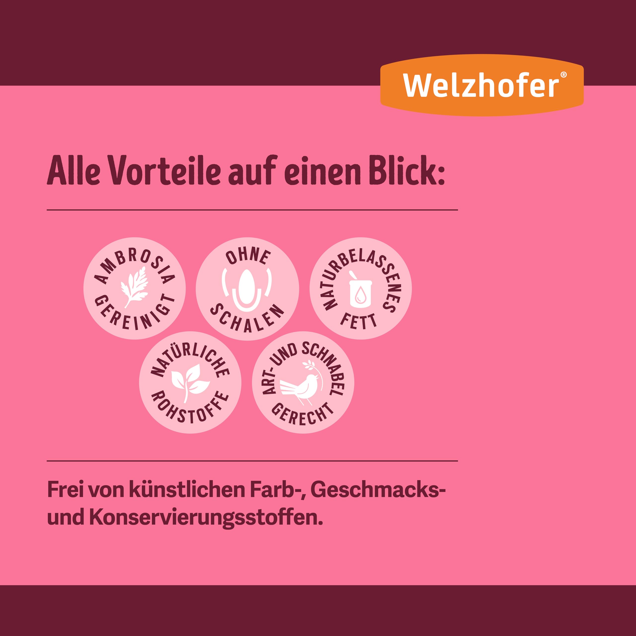 Aufbaufutter 10kg – Nährstoffreiches Vogelfutter für Jungvögel & ihre Eltern. Schnelle Stärkung für geschwächte & ältere Vögel. Haferflocken, naturbelassenes Fett & essenzielle Nährstoffe
