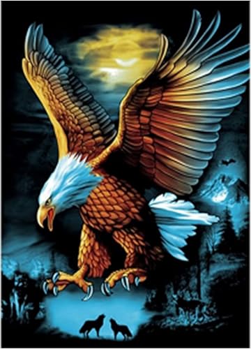 BOHUAYI Kits de pintura de diamantes para adultos, pintura 5D por números para adultos principiantes, pintura de puntos de diamante de taladro disponible en Yaxa Colombia