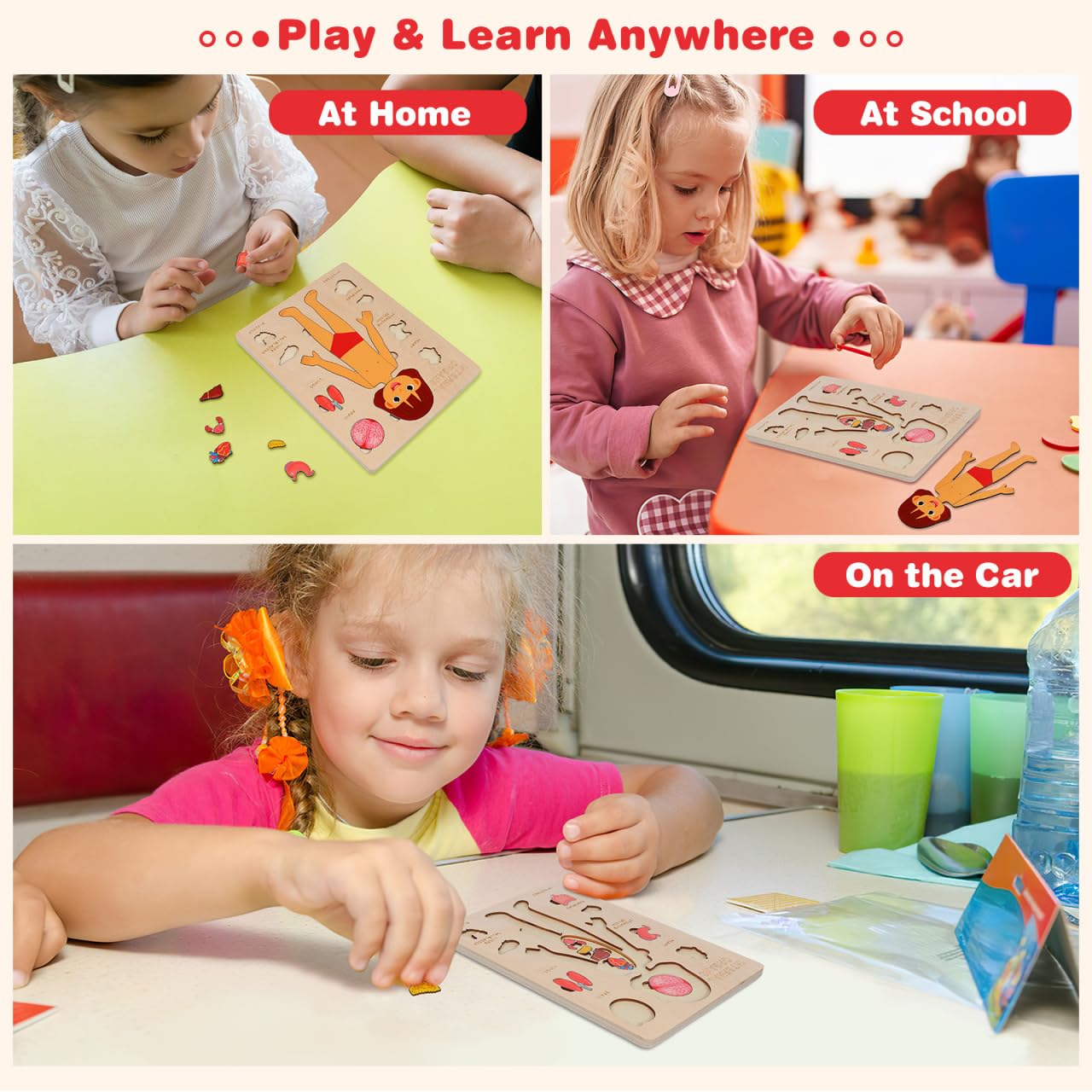 Toyvian Wooden Human Body Puzzle for Kids - Image 4