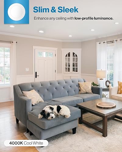 Miniatura 2 de Slim - Paquete de 24 unidades