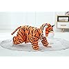 Product Photo 5