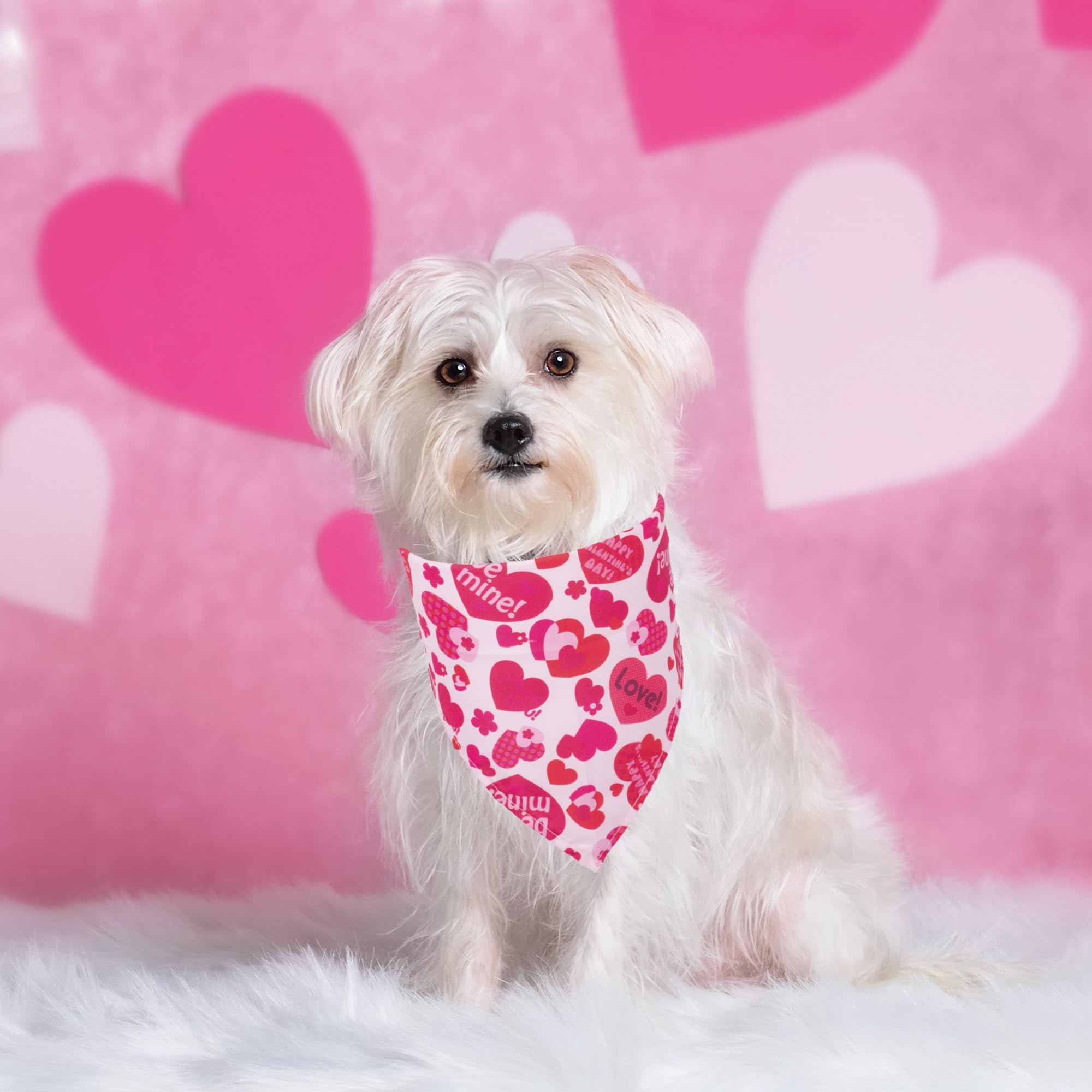Fascia E Bandana Per Cani A Forma Di Cuore – Set Di San Valentino, Tessuto Morbido, Regolabile, Per Taglia Piccola-media-grande