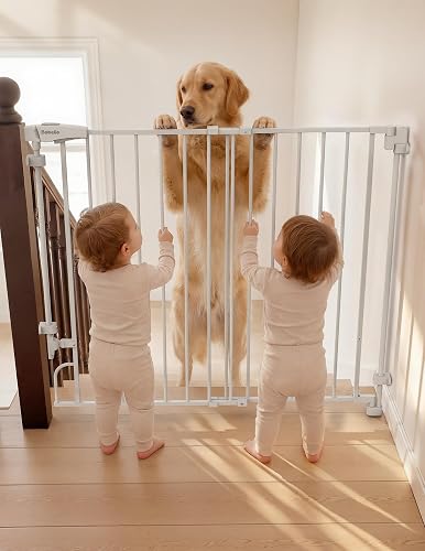 Babelio BEBAM63 dog gate