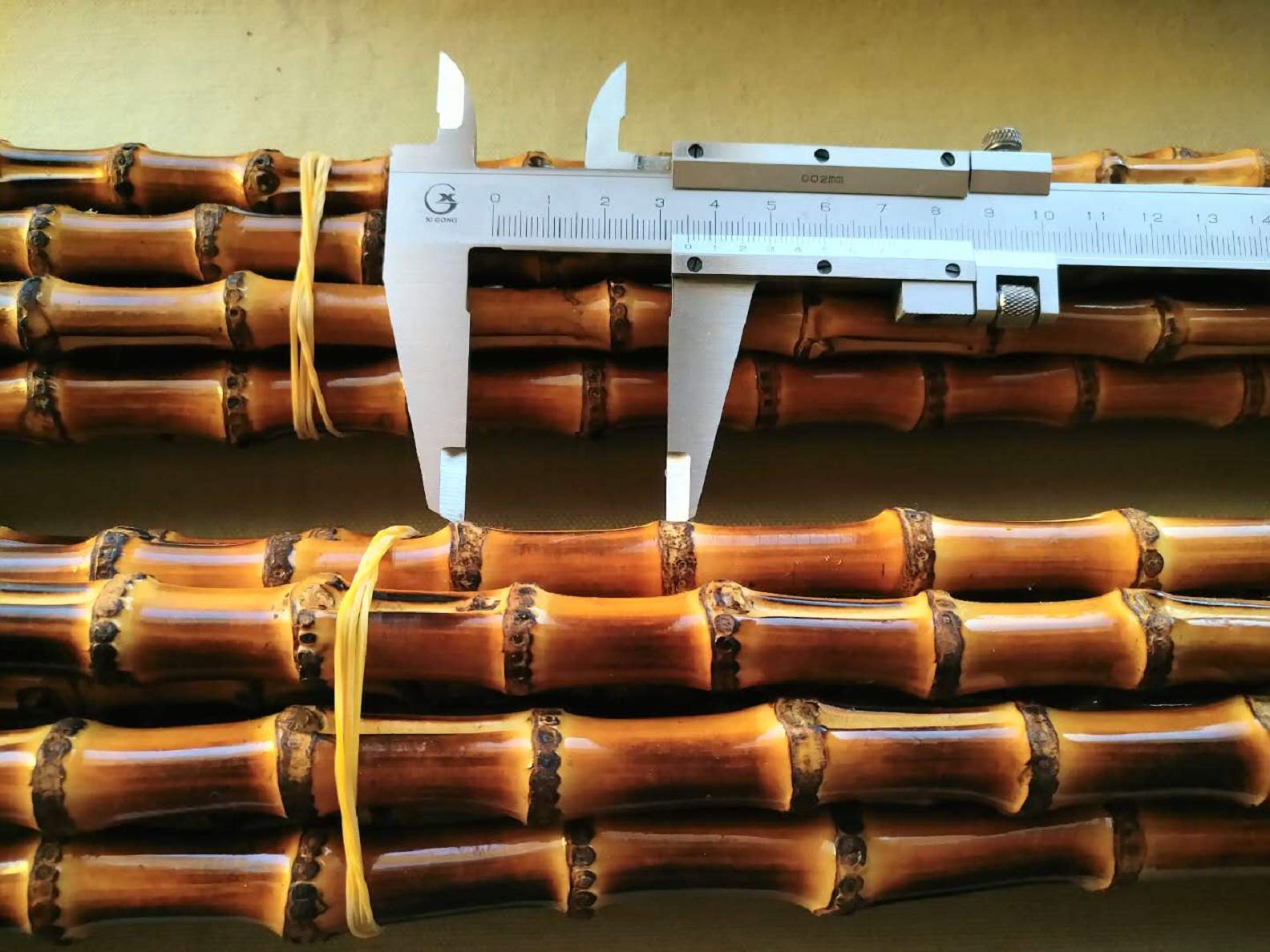 Amazon | 竹の根（長さ95㎝～100㎝）80本セット | TIGER | 馬術スポーツ