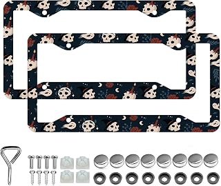 Skeleton License Plate Frames - 2 Pcs Set 4 Holes Metal Aluminum Auto Car Plate Frame Accessories Decoration License Plate Holder Fit US Vehicles for Women Men Gift