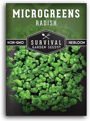 Survival Garden Seeds Microverduras de rábano para brotar y cultivar - 2 paquetes - Brotan microvegetales de hoja verde en interiores - Cultiva un