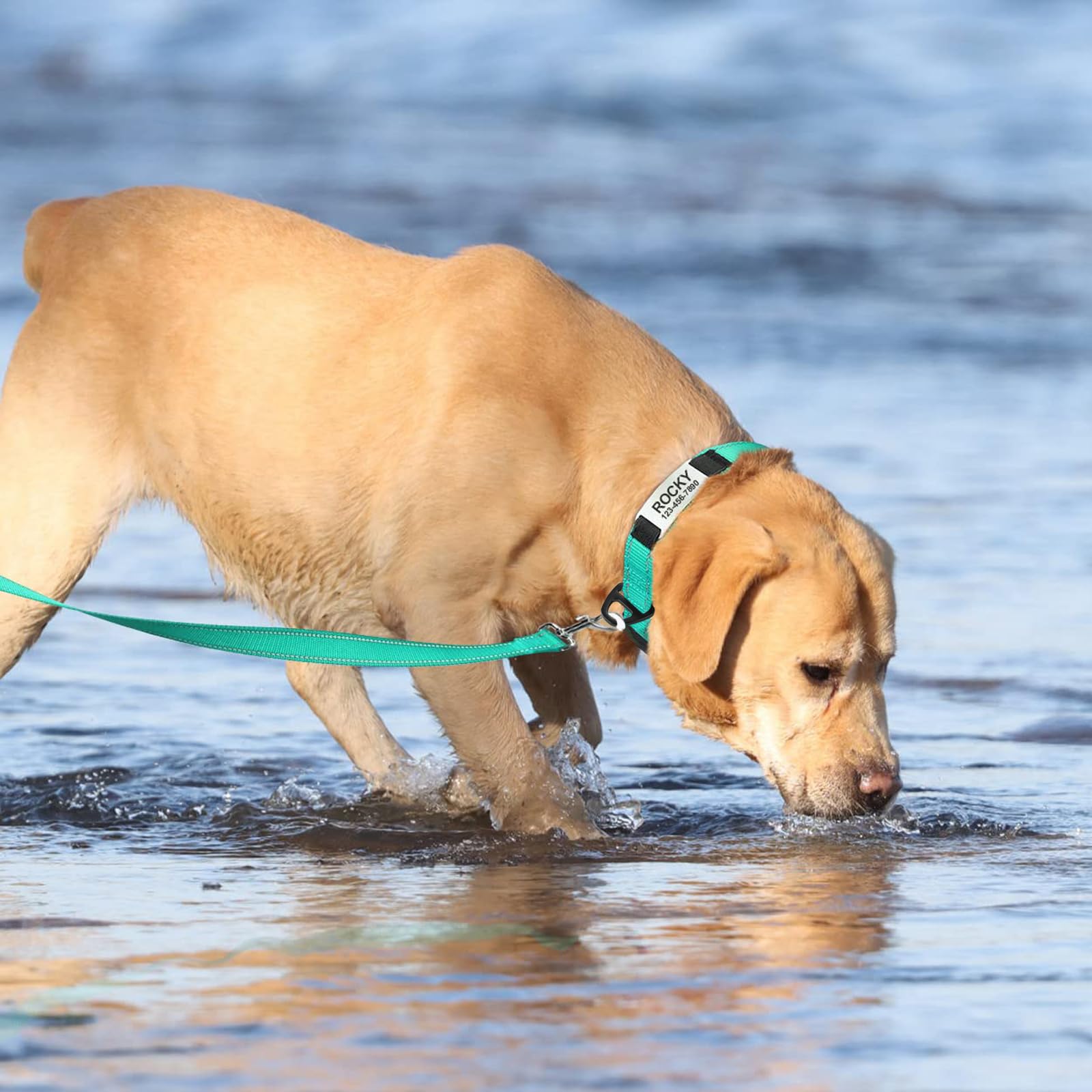 TagME Personalized Dog Collar with Name Plate, Custom Reflective Pet Collars with Engraved Slide on ID Tags for Medium Dogs,Teal