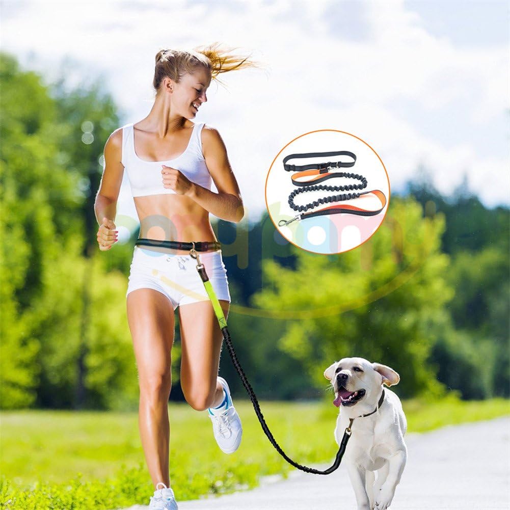 Strong Nylon Hands Free Running Dog Leash / Dog Walking Belt - Reflective Safty Dog Lead - Adjustable Waist Belt - Great for Handsfree Running , Jogging or Walking - Price Xes (Orange)