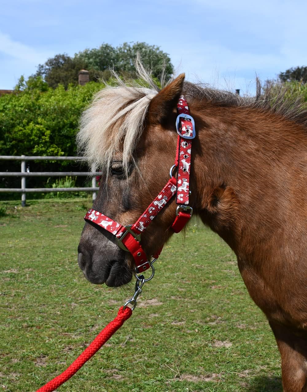 Rhinegold Unicorn Padded Headcollar and Matching Leadrope Set