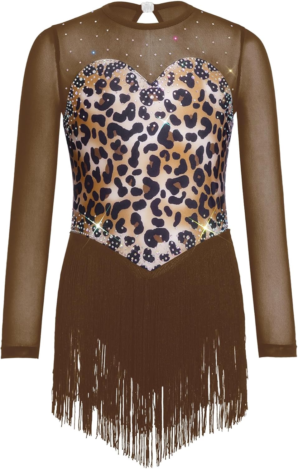 Kids Girls Latin Ballroom Dance Dress Leopard Print Tassel Fringe Skirted Leotard Tango Salsa Dance Dress