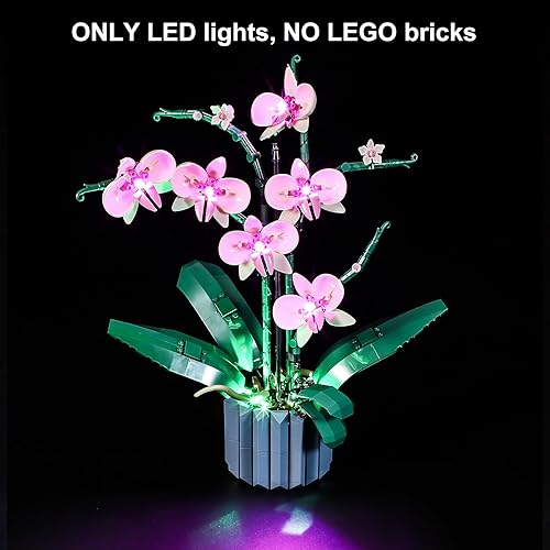 Miniatura 8 de Vaodest Luz LED para Lego 10315 Icons Tranquil Garden Set, diseño y configuración compatible con el modelo 10315 (solo luz LED, no kit de bloques de