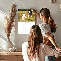 Vista 876 de Razas de Perros 2017