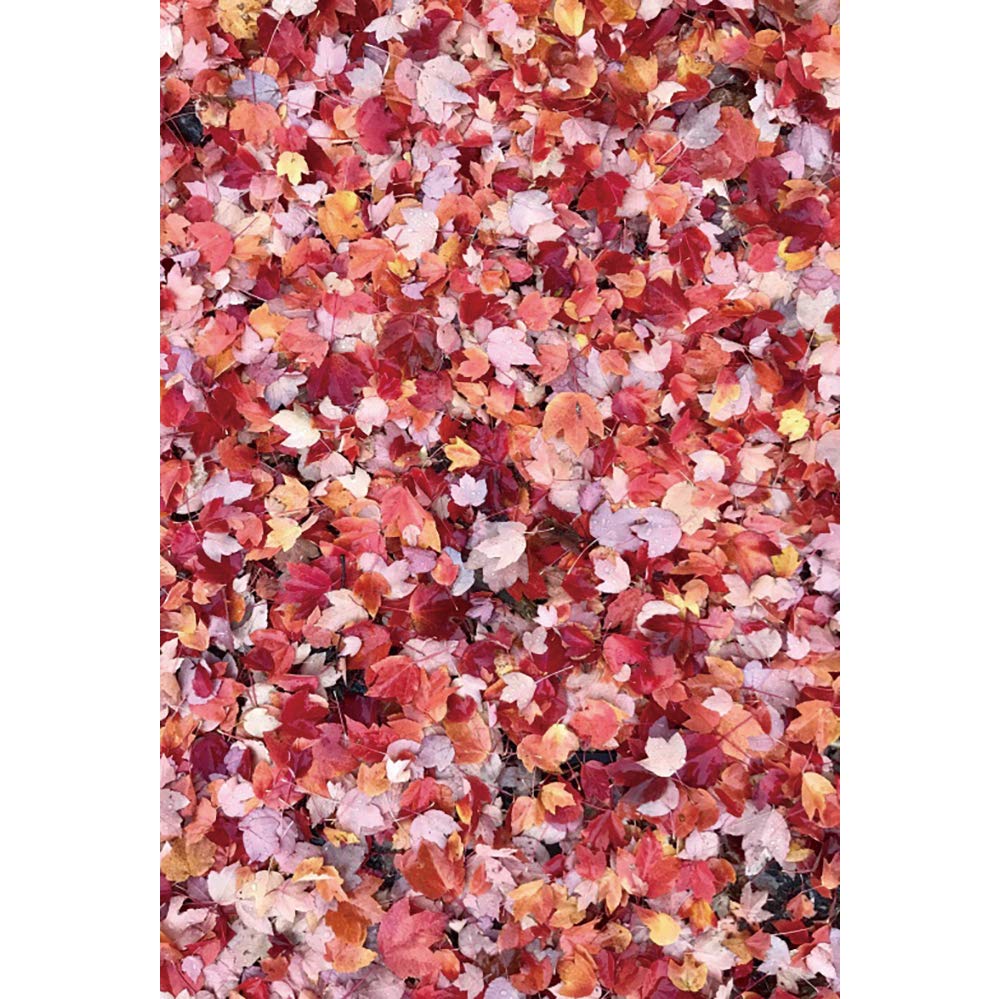 Amazon | Qinunipoto 背景布 撮影布 紅葉の背景 落ち葉 赤いもみじ 秋