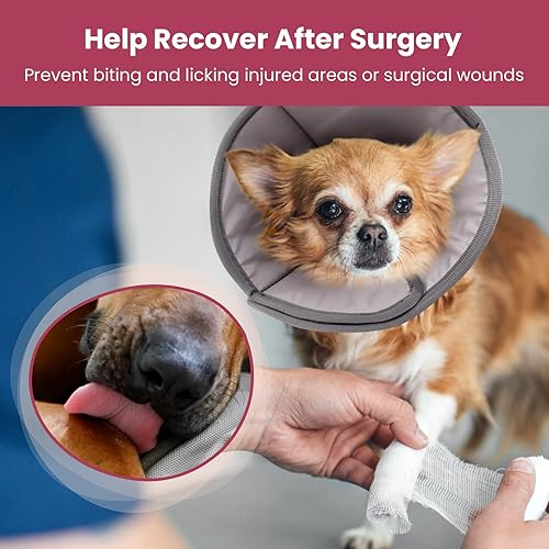 Miniatura 2 de BARKLESS Cono de perro, cono suave para cachorros y gatos después de la cirugía para dejar de lamer, collar isabelino ajustable para cirugía de