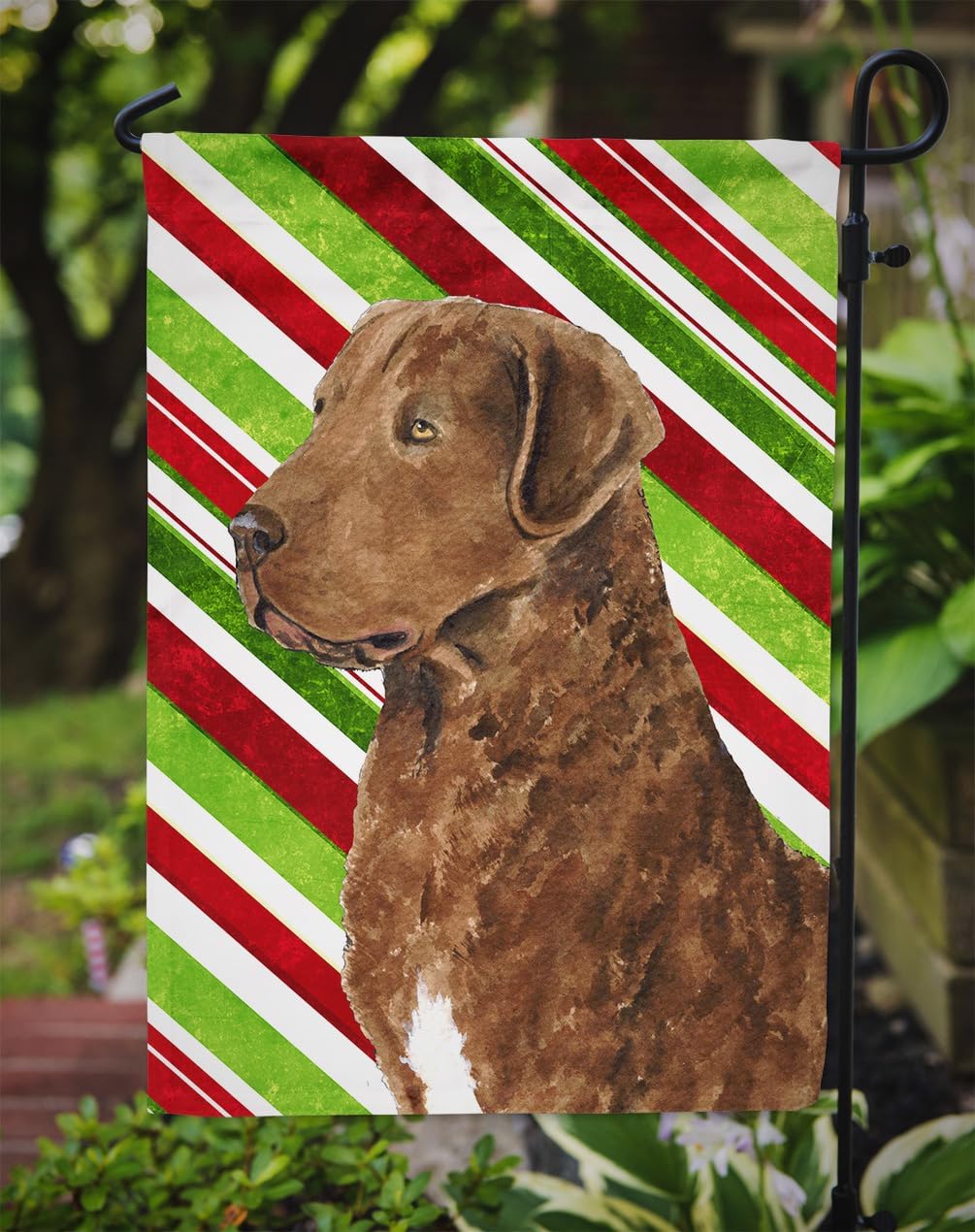 Caroline's Treasures SS4600GF Chesapeake Bay Retriever Candy Cane Holiday Christmas Garden Flag Mailbox Flag Decorative Yard Flag Banner Outside Patio Artwork Yard Flower Beds, Garden Size, Multicolo