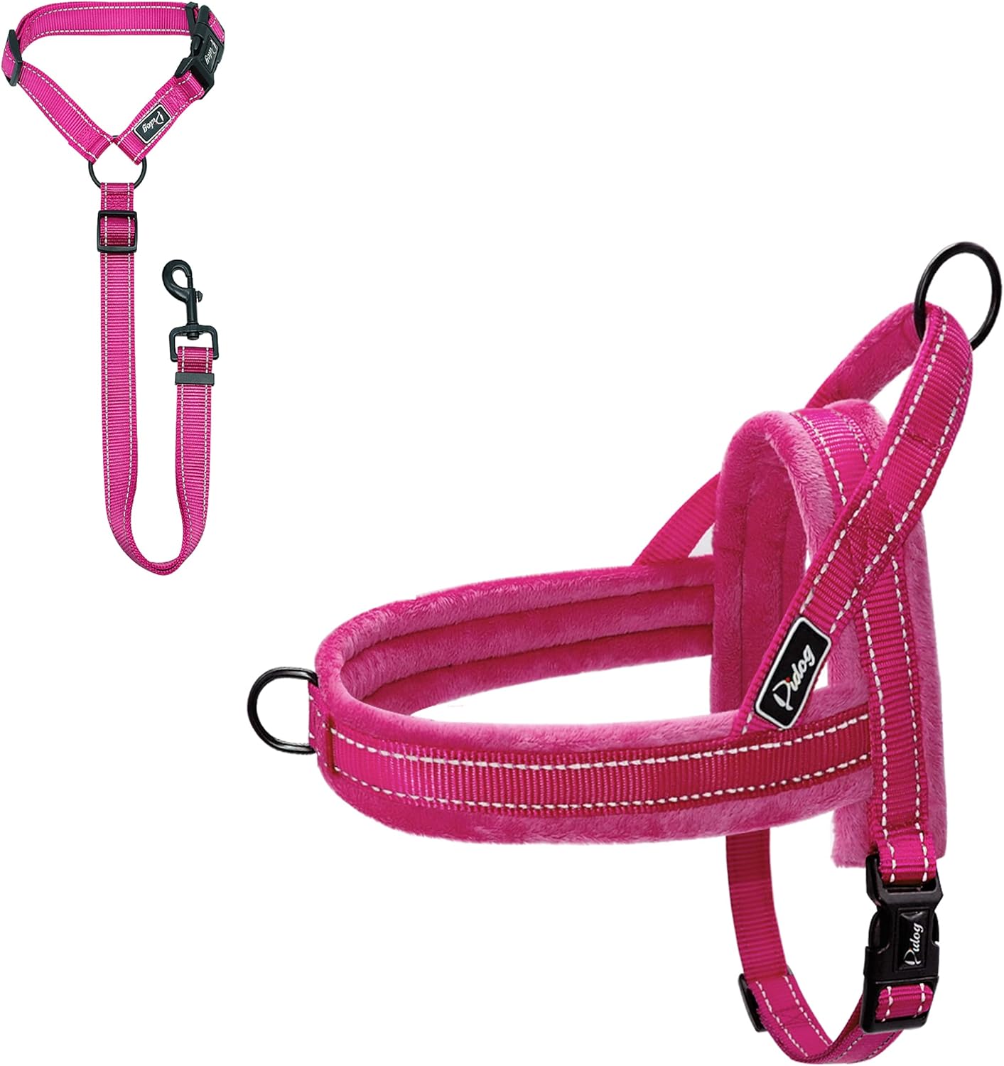 Descriptive essay the broken leash 02 image