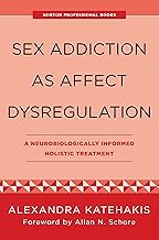 Sex Addiction as Affect Dysregulation: A Neurobiologically Informed Holistic Treatment (Norton Interpersonal Neurobiology)