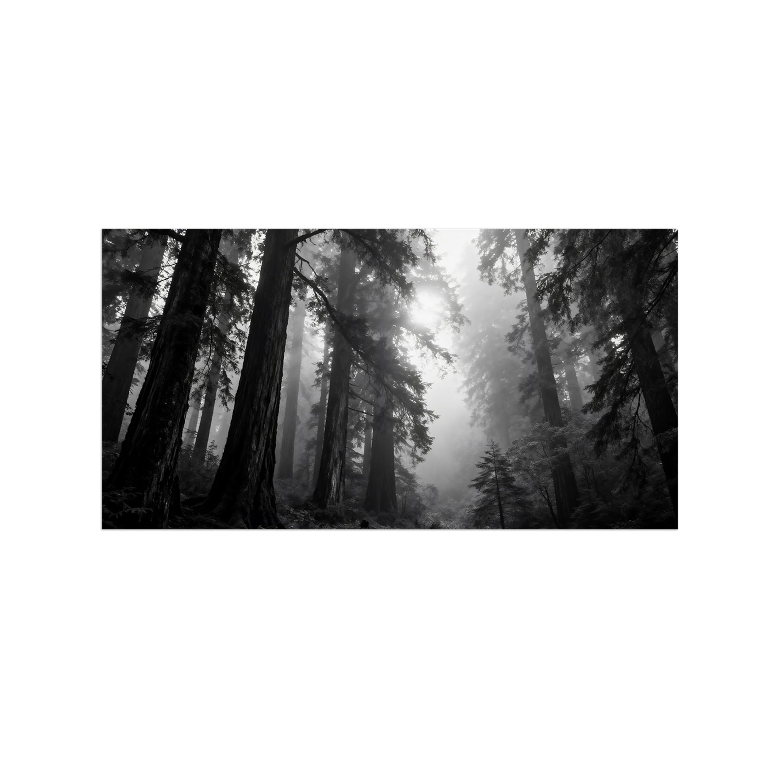 OZPWBVY Black White Landscape Wall Art. Forest Tree. Picture 40x80cm Framed