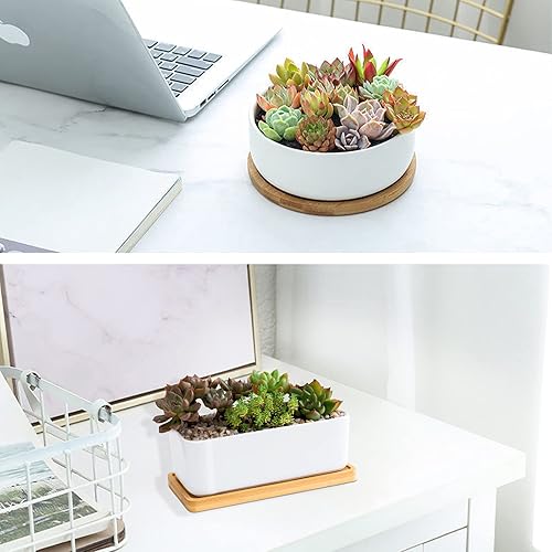 Miniatura 6 de Macetas suculentas de cerámica blanca, 1 maceta rectangular + 1 maceta redonda, juego de 2 recipientes pequeños para cactus, macetas para bonsái,