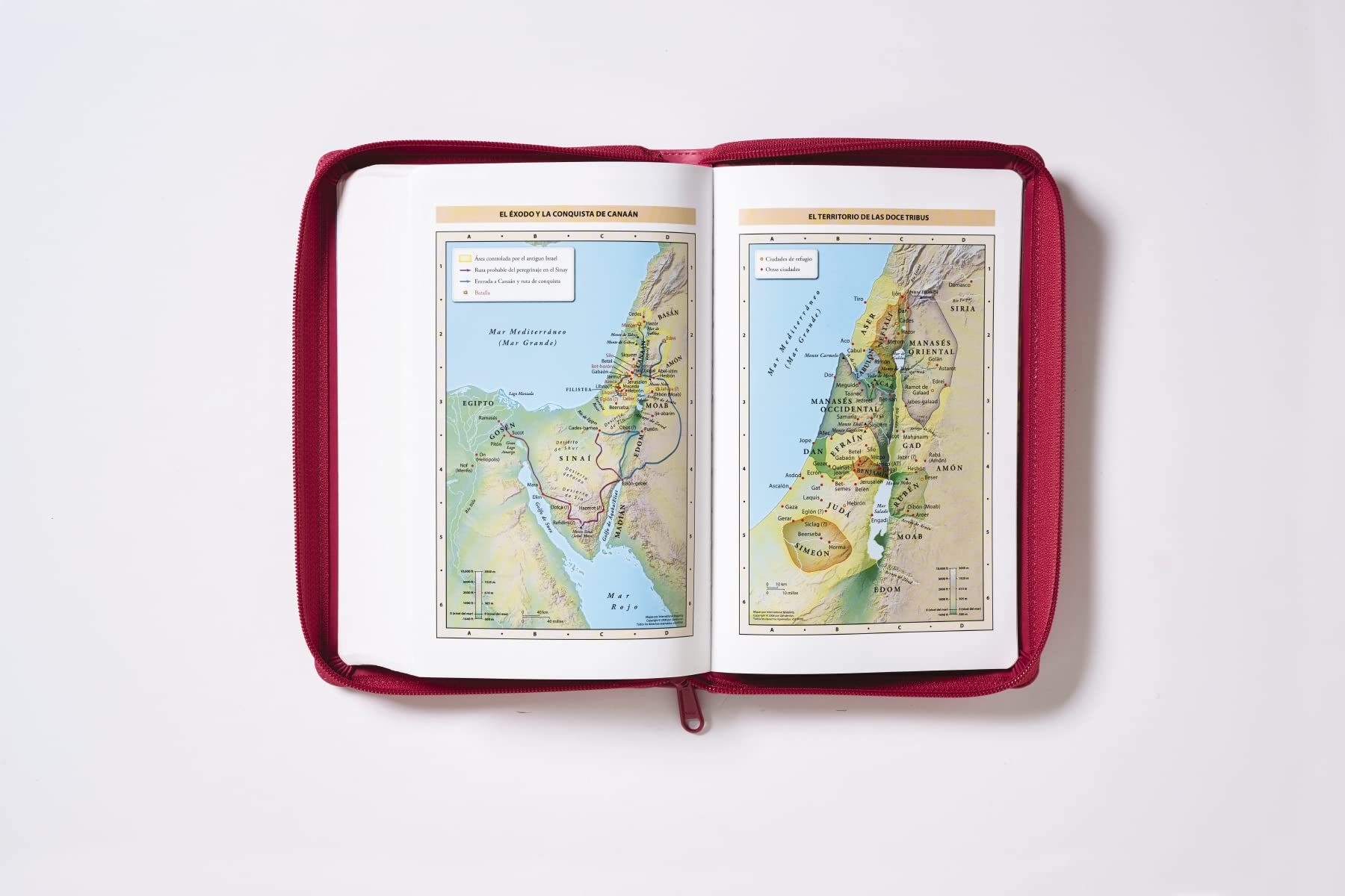 RVR60, Santa Biblia, Tierra Santa, Letra grande, Leathersoft, Fucsia, con Cierre, Palabras de Jesús en Rojo, Comfort Print (Spanish Edition)