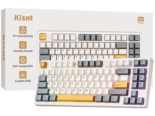 Kisnt KN85 Wireless Mechanical Keyboard, 75% Layout, Bluetooth/2.4GHz/USB-C, Custom RGB