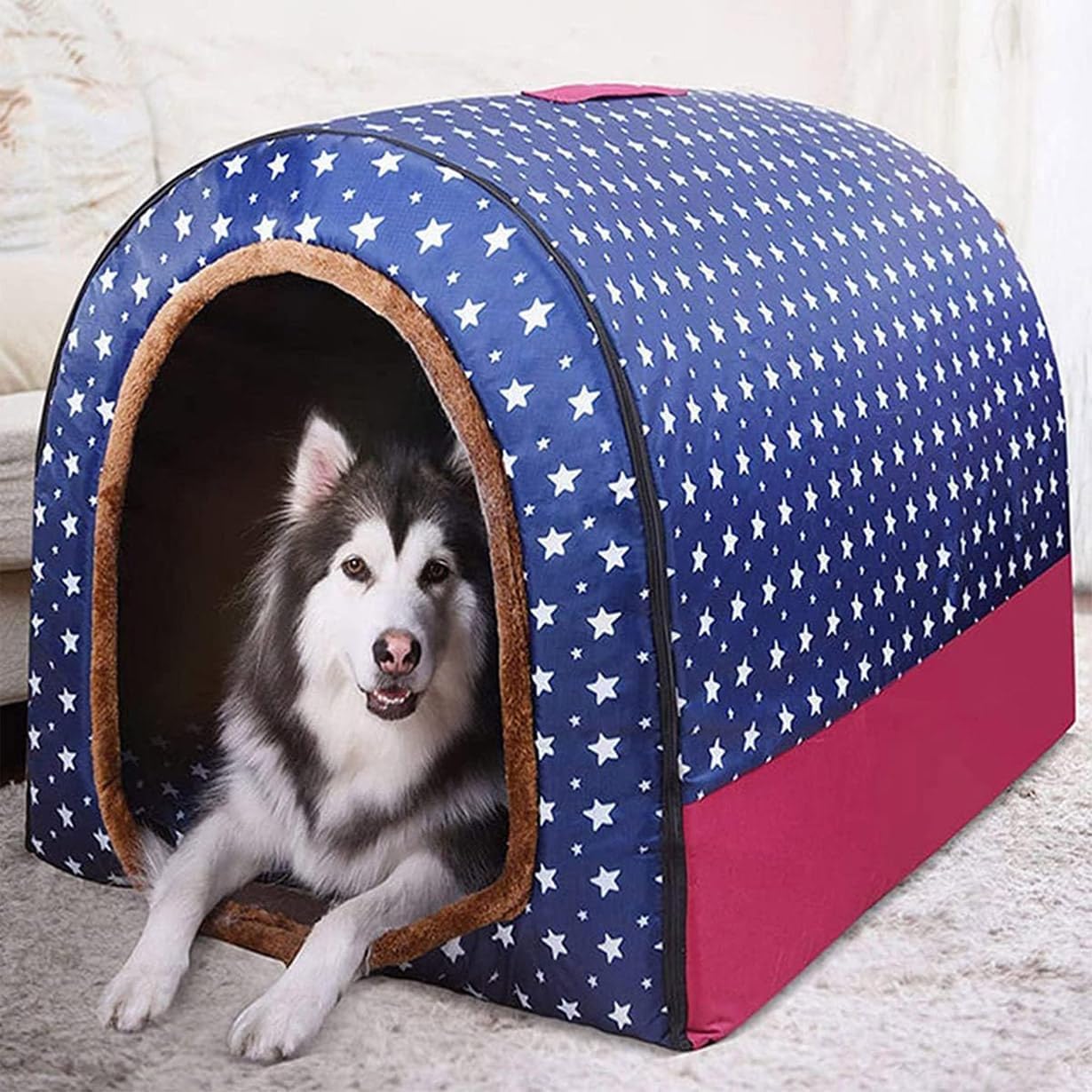 Niche grand chien XL refuge pour animaux de compagnie intérieur extérieur