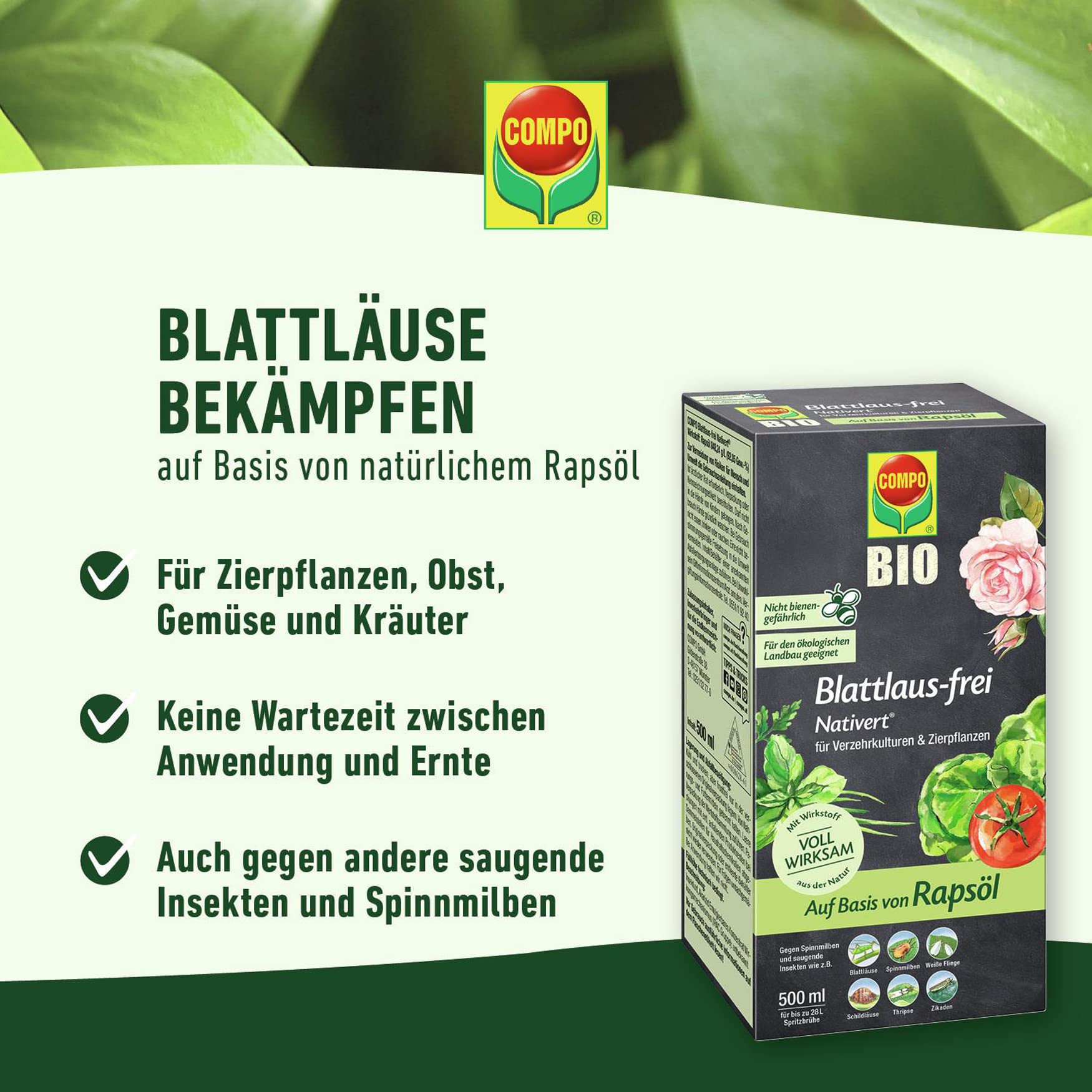 futterweizen saatgut Weizen keimfhige Bio-Saat, 1 kg  Eschenfelder