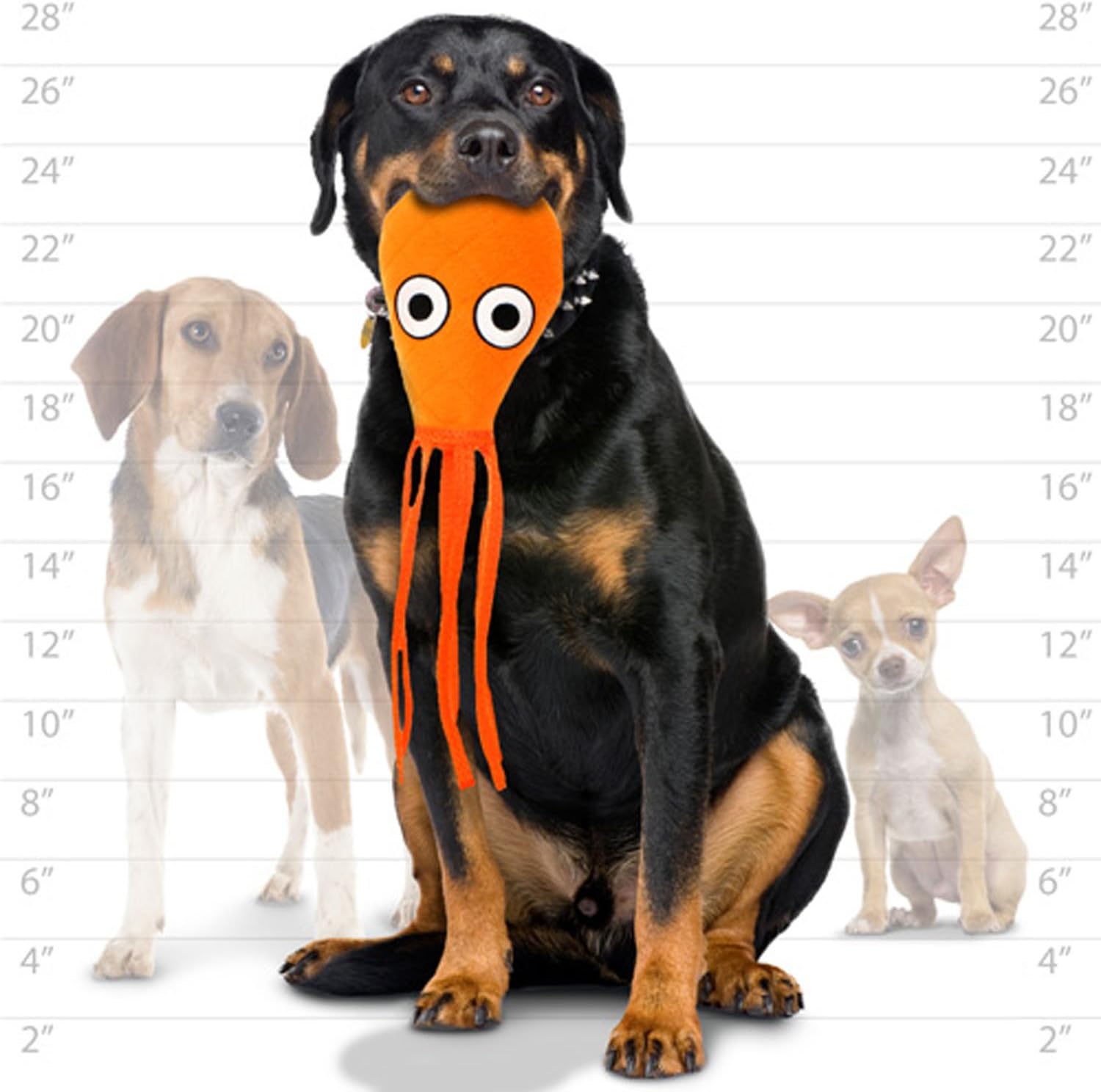 Tuffy Ocean Creature Mega Squid Orange