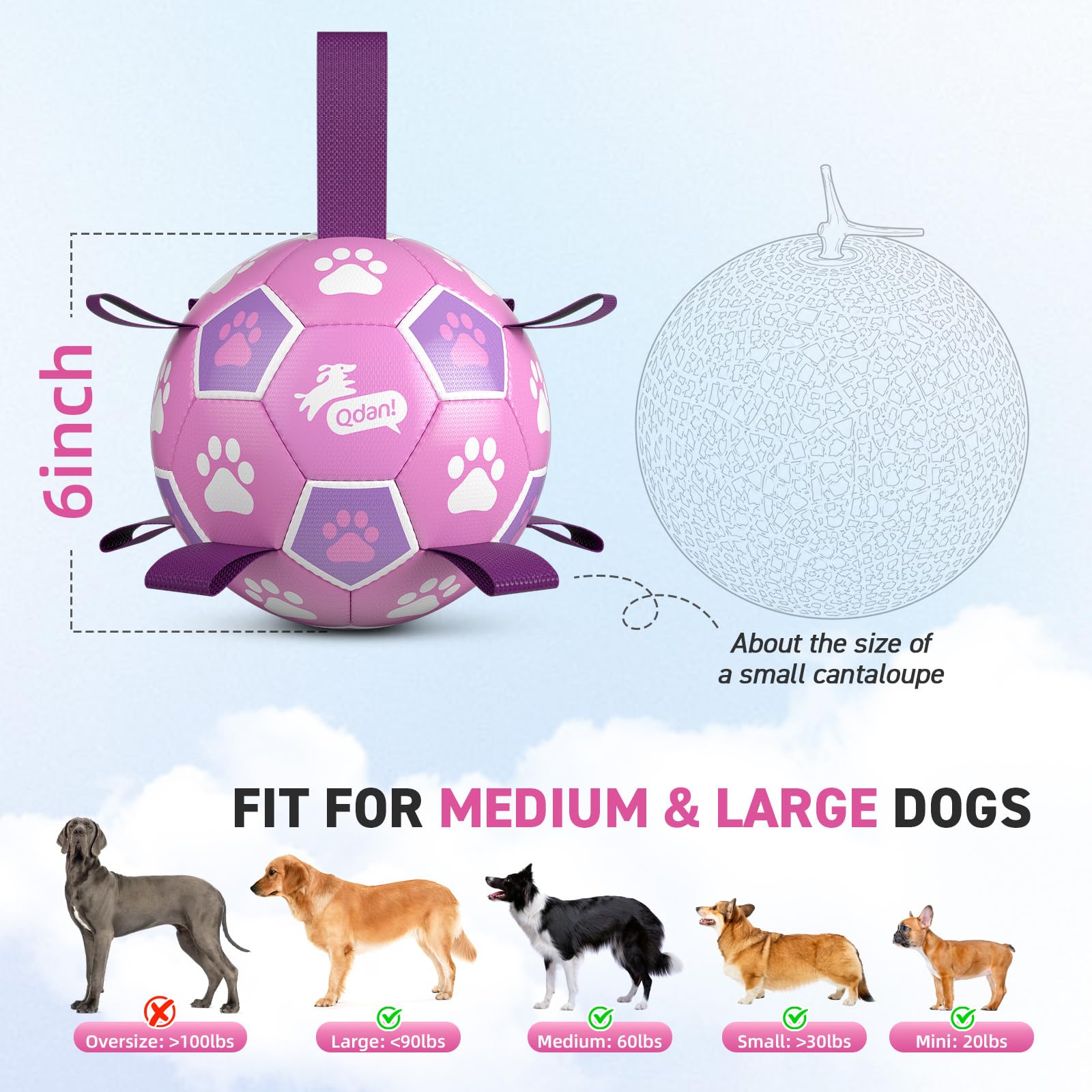 QDAN Hundespielzeug, Fußball mit Riemen, langlebige Bälle für kleine, mittelgroße Hunde, Strand-Pool-Wasserspielzeug, Hundespielzeug zum Zerren, Welpen, Haustier, Geburtstagsgeschenke (15,2 cm)