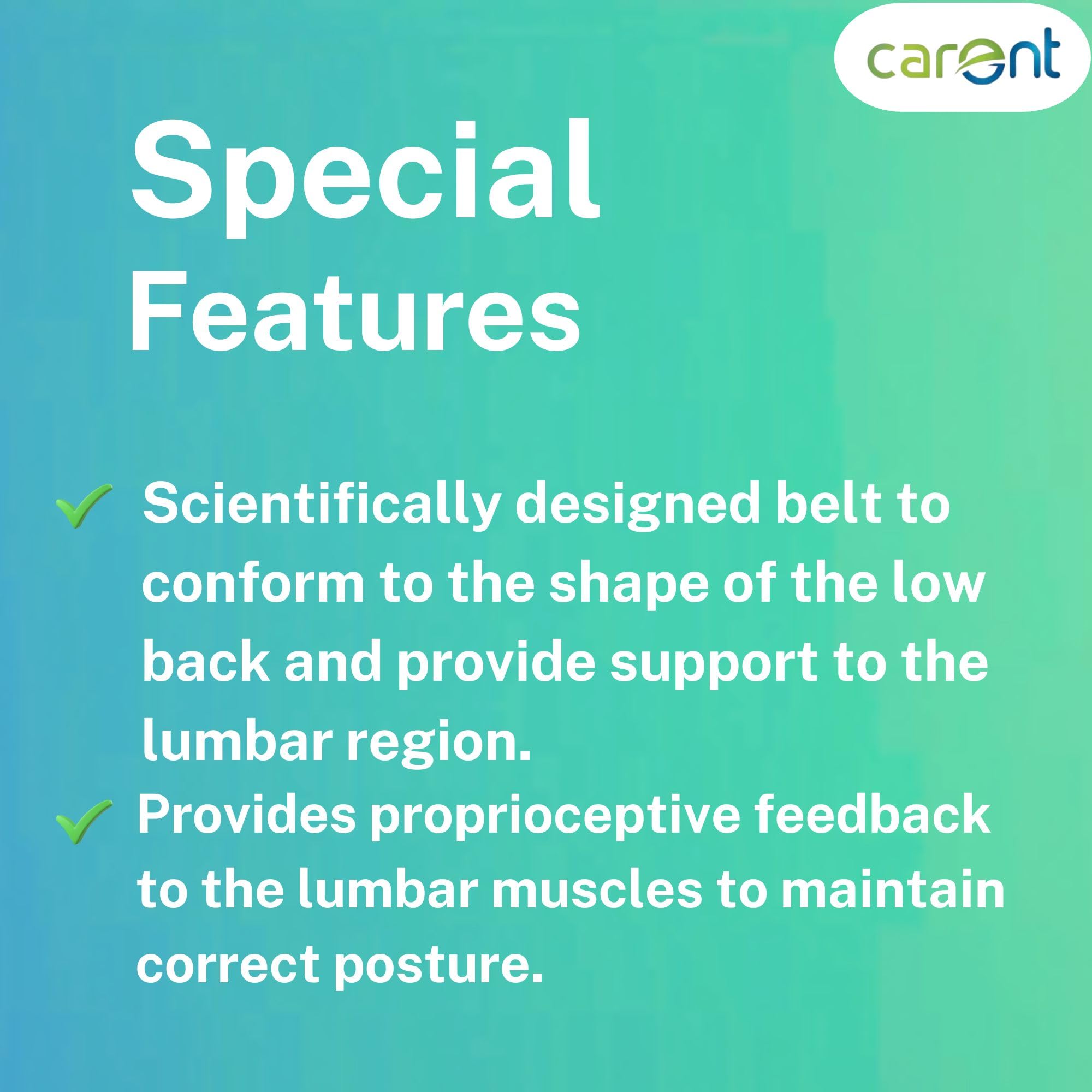 Carent Universal Dorso Lumber Brace β Lumbar and Lower Back Support for Pain Relief Strain Recovery and Posture Improvement 3