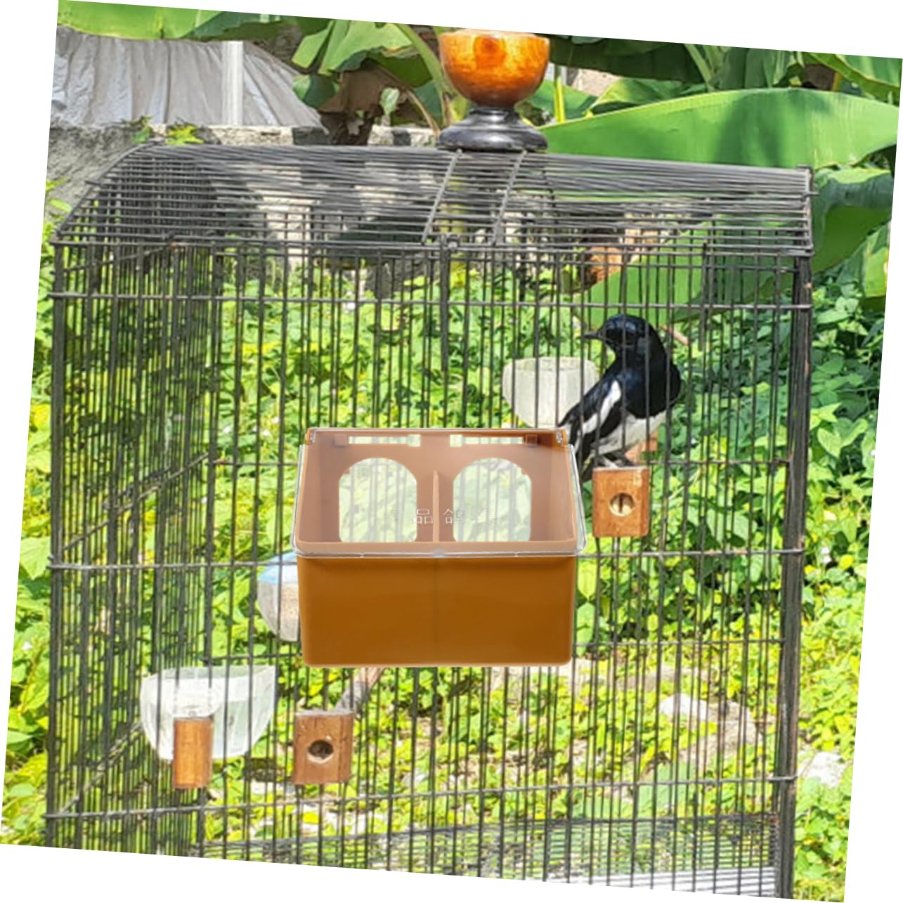 Comedero Colgante para Pájaros de Dos Orificios, 3 Piezas | Plástico Color Café, Ligero y Resistente al Desgaste, para Aves Pequeñas y Palomas