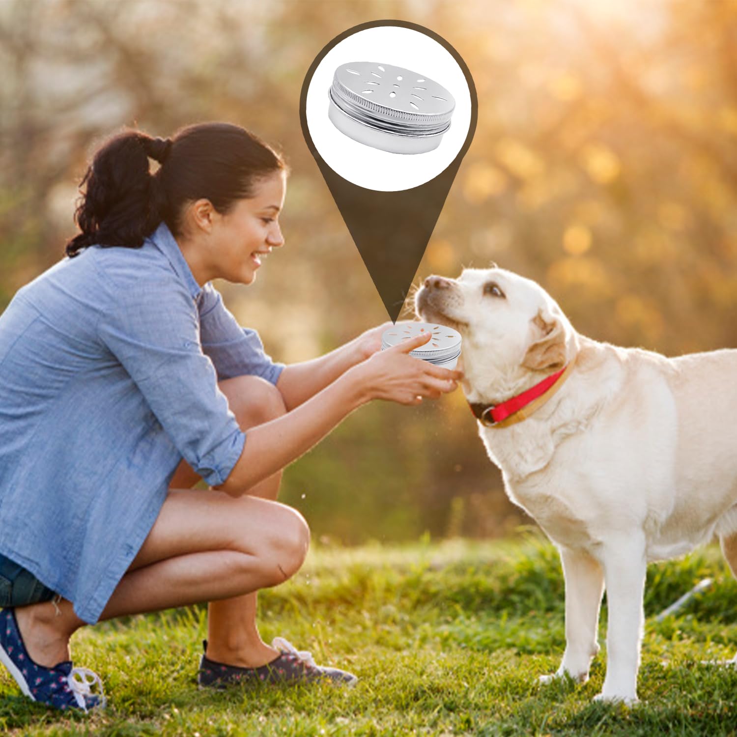 4 scatole profumate per cani, scatole di allenamento per il mondo del mondo, profumate in alluminio, strumenti per l'addestramento del mondo