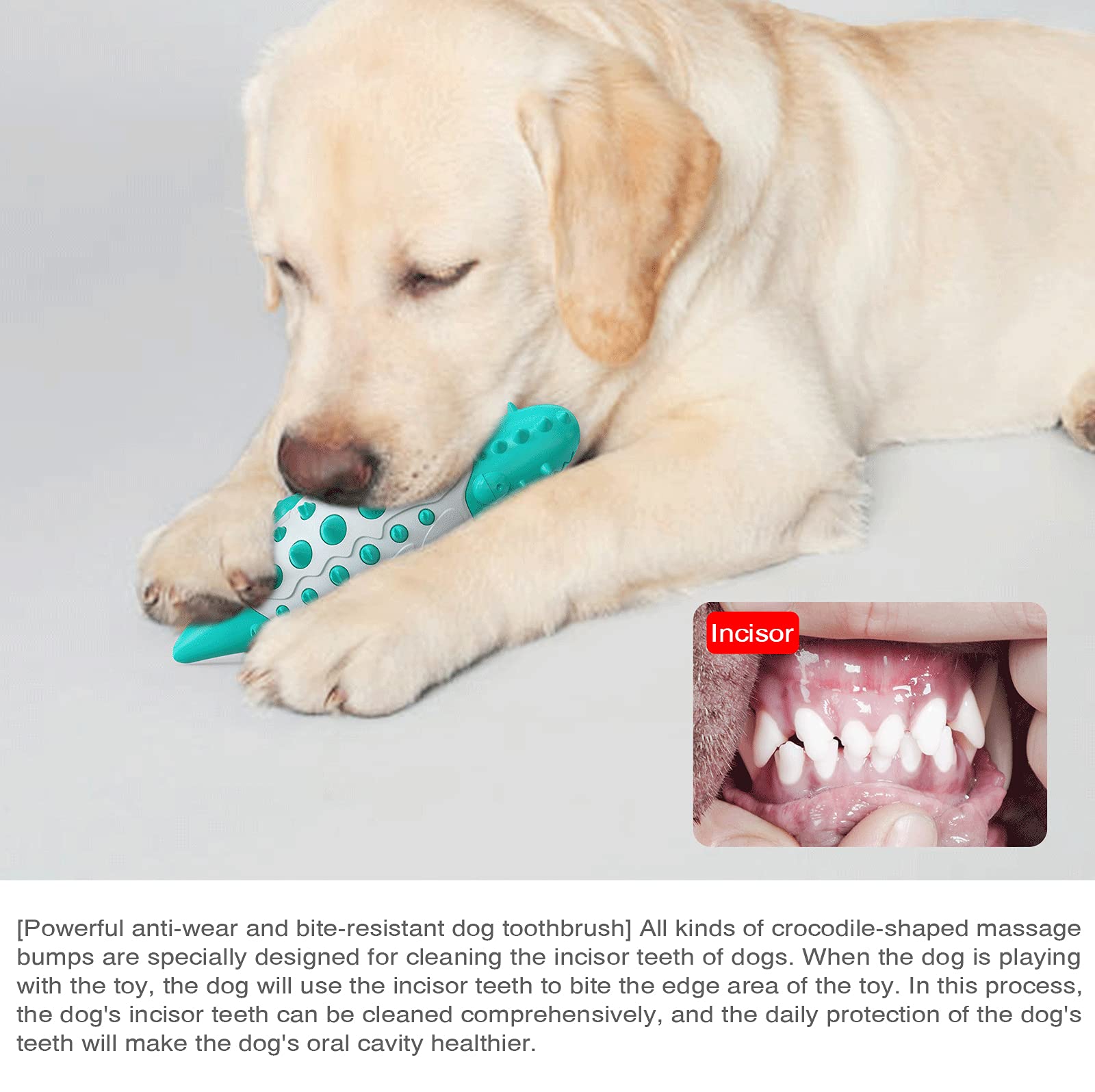 Quietschendes Kauspielzeug Für Hunde – Krokodil Aus Naturkautschuk