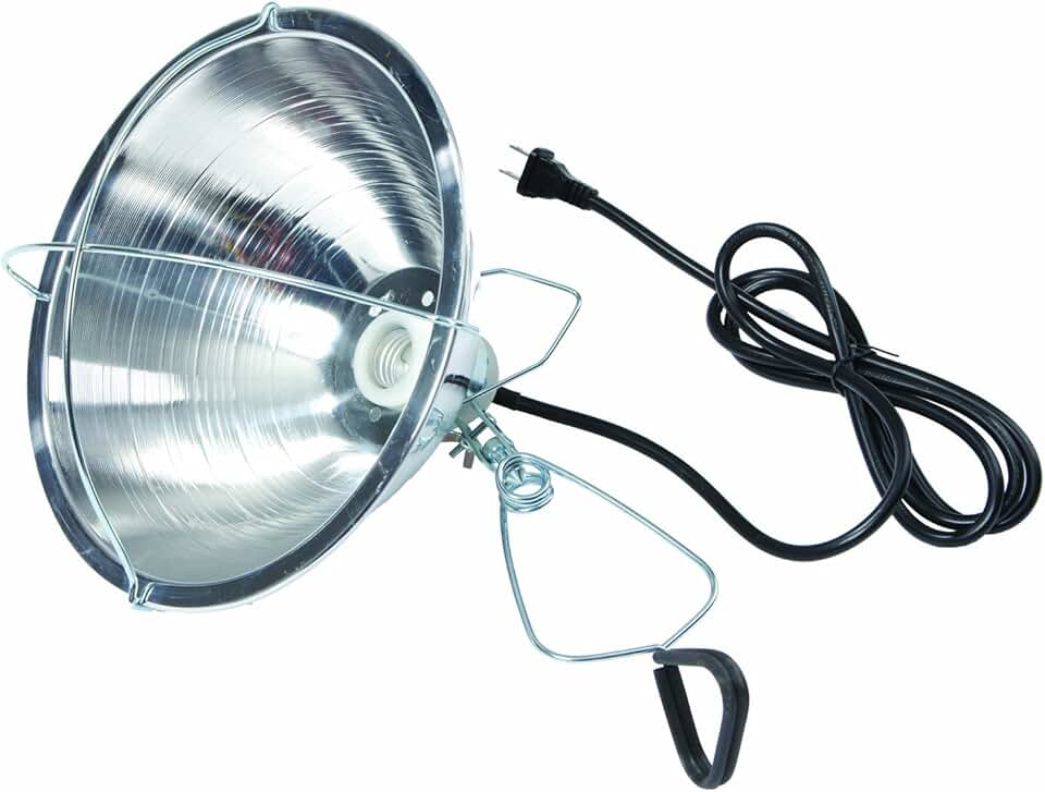 Little Giant Brooder Reflector Lamp | Heat Lamp for Baby Chicks | 10.5 inch | 250 Watt | Egg Heat Light