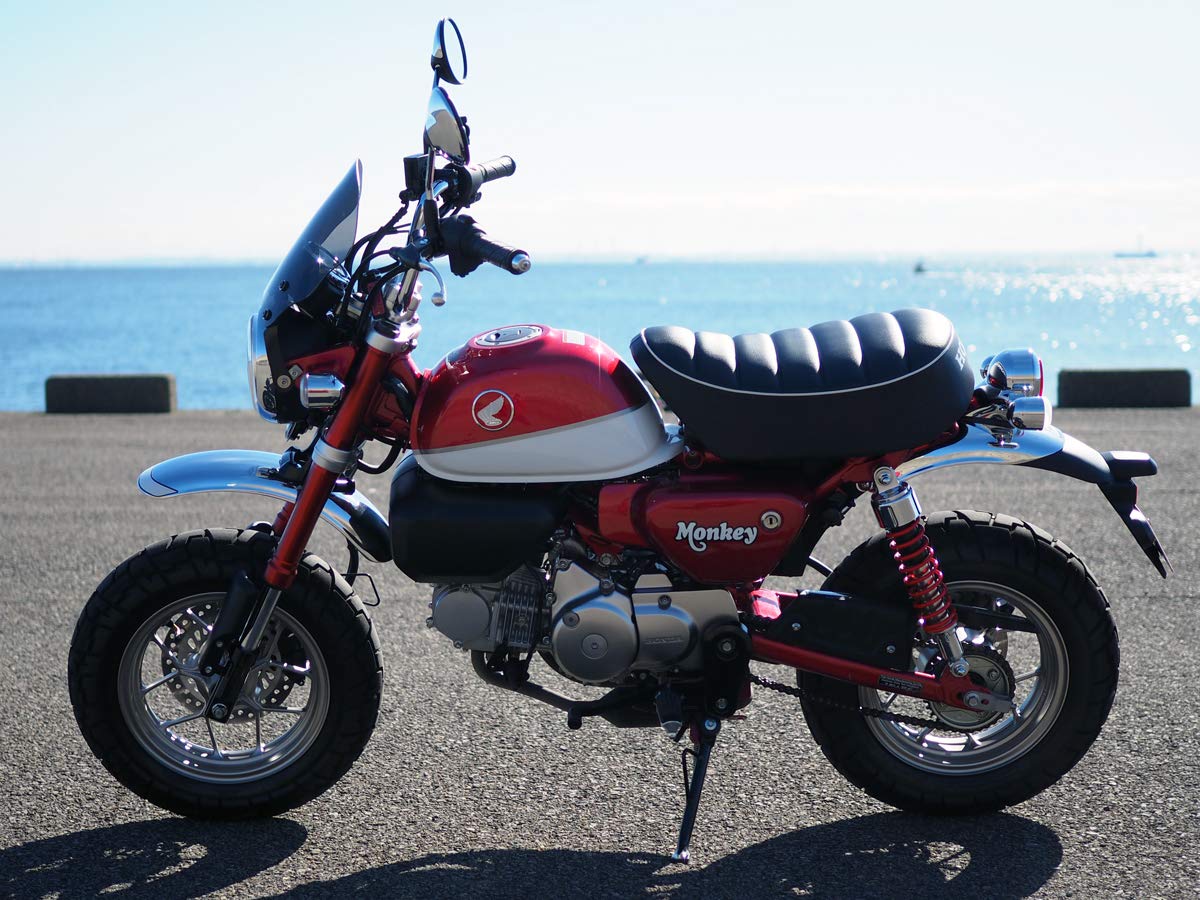 Amazon | ワールドウォーク モンキー125用オルタナティブ