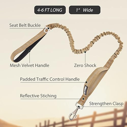 Miniatura 52 de BUMBIN Correa elástica para perro de 6 pies, correa elástica para perro con 2 asas, correas resistentes para perros medianos y pequeños, sin