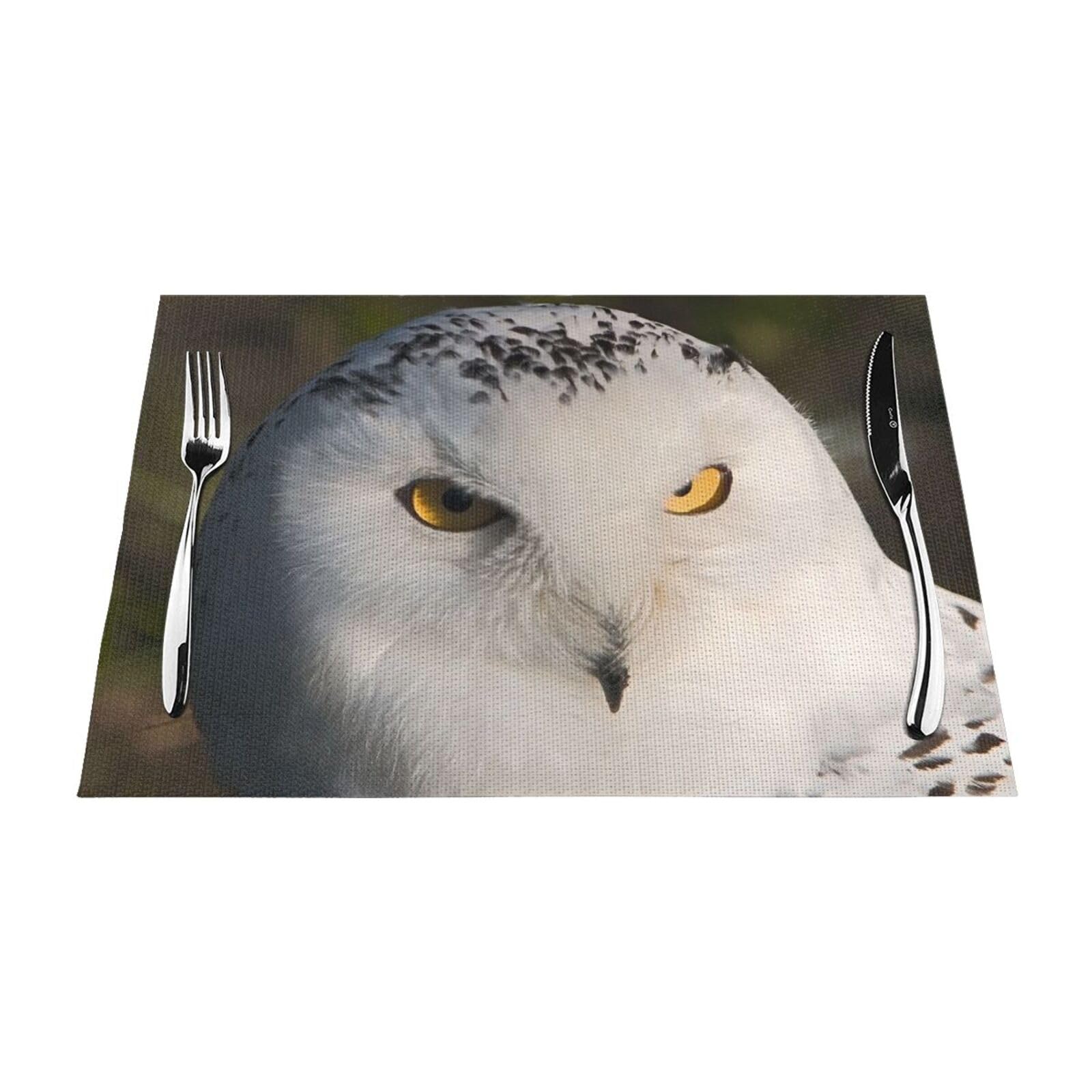 PVC Placemat Set of 4 PCS, 45x30 CM, Snowy Owl Eyes Printed Non-Slip Heat Resistant Place Mats for Kitchen Dining Table Indoor Outdoor