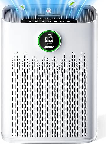 Air Purifiers for Home Large Room, Cover Up to 2400