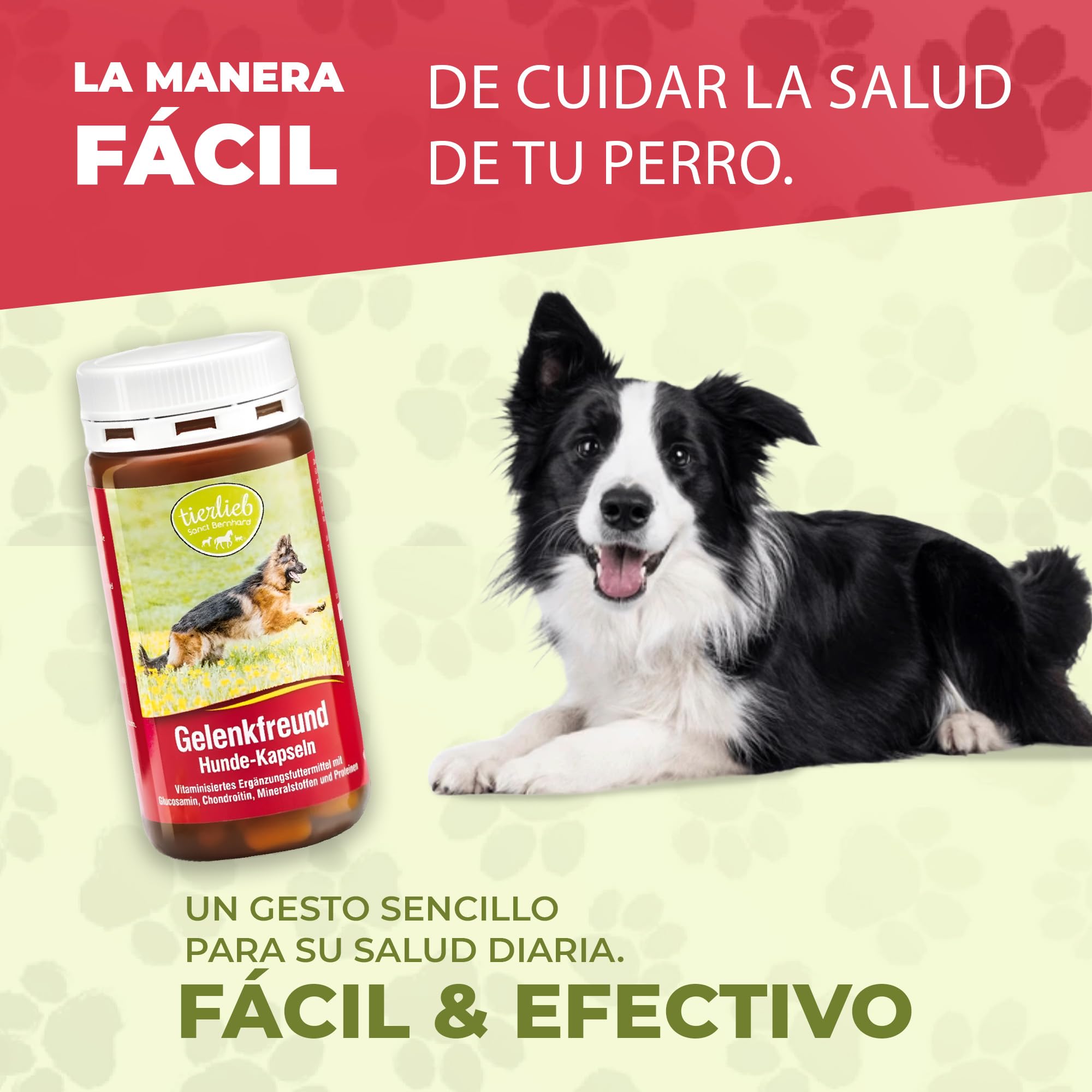 Complemneto para Las articlaciones de los Perros Gelenkfreund - 3x130 Cápsulas - Complemento para Perros, favorece el cartílago y fortalece la Estructura de los Huesos - Sanct Bernhard - Cebanatural