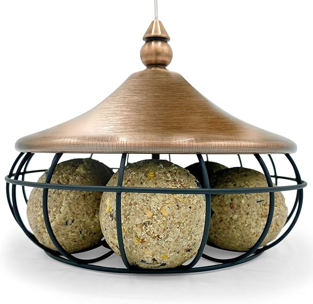 Copper Suet Bird Feeder for the Garden fits up to 6 Suet Balls - Hanging Pumpkin Modern Design with Strong Wire Cable to Hang Outdoors
