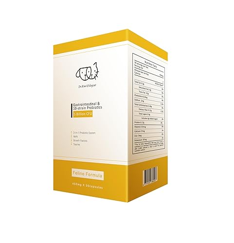 Probiotics for Cats | Support Gut Health, Diarrhea, Digestive Health