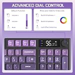 FREEWOLF M96 Wireless Gaming Keyboard Creamy Membrane 94Key ANSI-Purple | Rainbow Backlight,Media Knob,LCD Screen,Dual Mode-Bluetooth/2.4Ghz,Ball Shape PBT Keycap,3000mAh battery for Win Mac PC Gamer