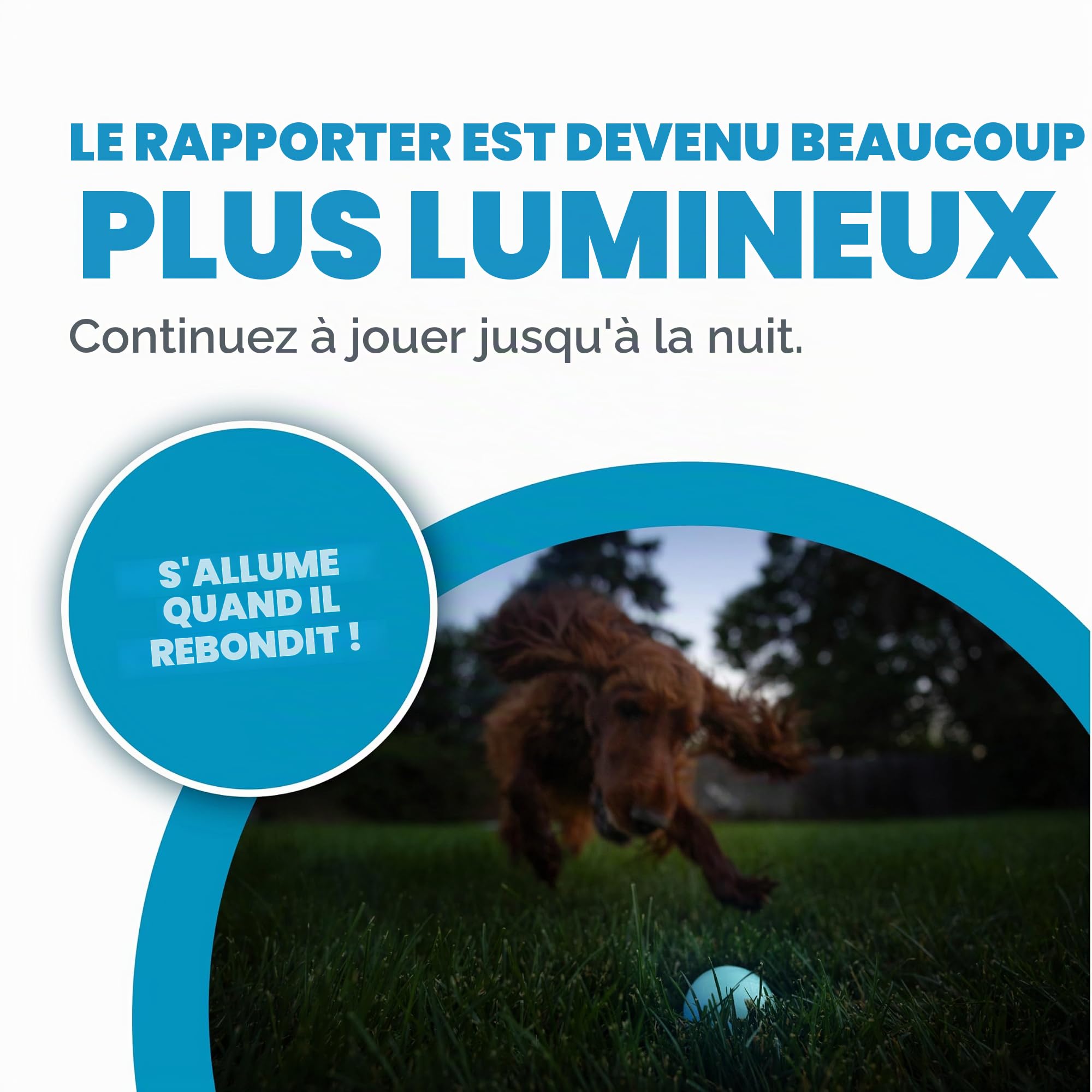 Planet Dog Balle pour chien Strobe - en Orbee-Tuff - éclairage LED - bleu