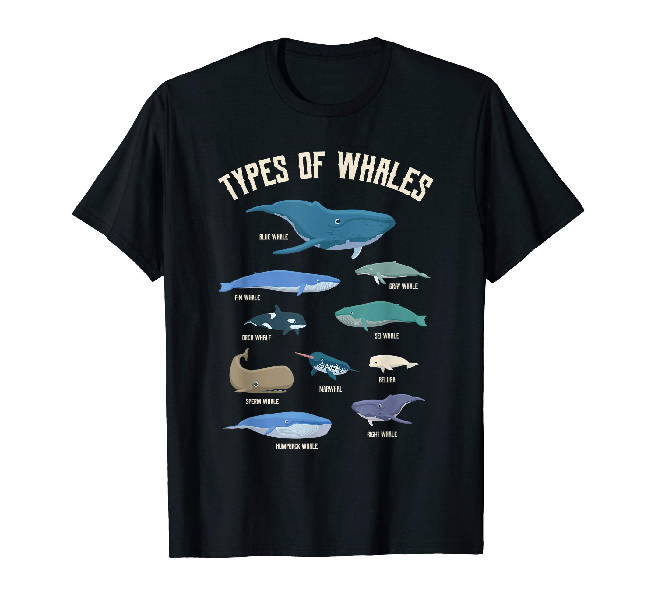 Whales Ocean Educationtypes Of Whales Ocean Mammals Guide Whale