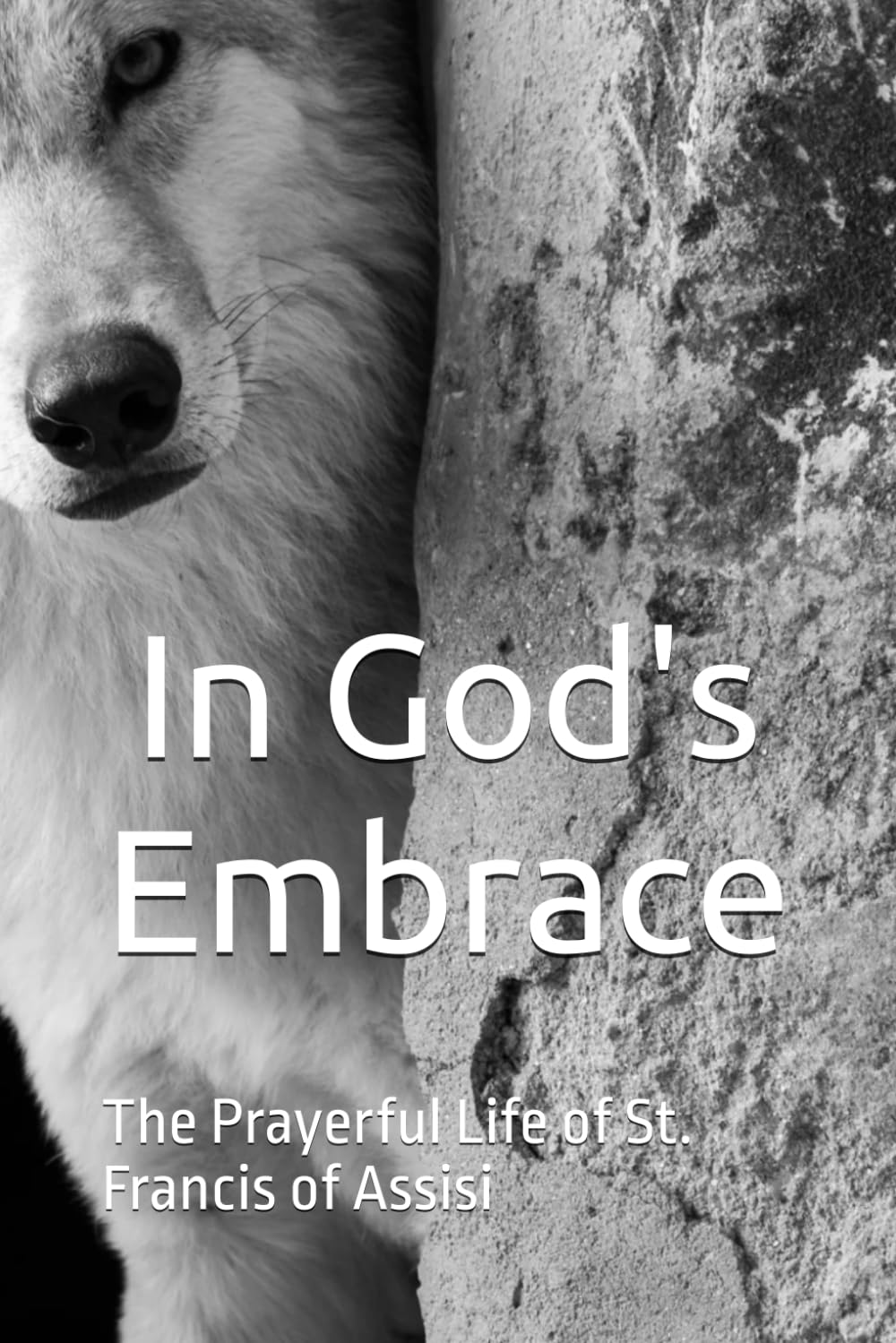 In God's Embrace: The Prayerful Life of St. Francis of Assisi